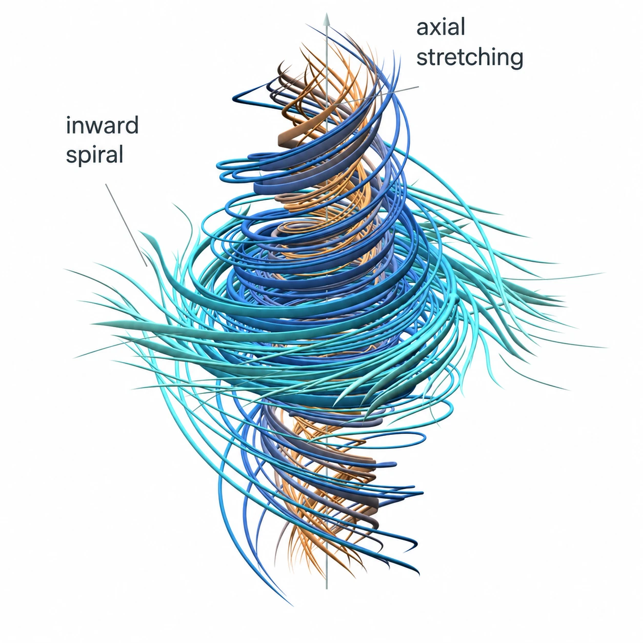 Diagram of a swirling vortex illustrating inward spiral and axial stretching. — Picture from openai.com