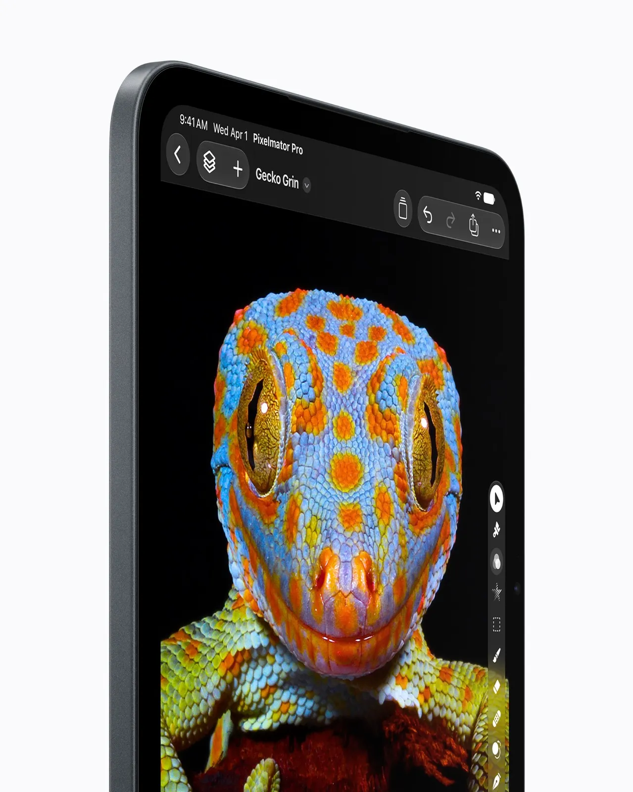 A close-up of the Super Retina XDR display on iPad mini shows a detailed image of a gecko. — Picture from apple.com